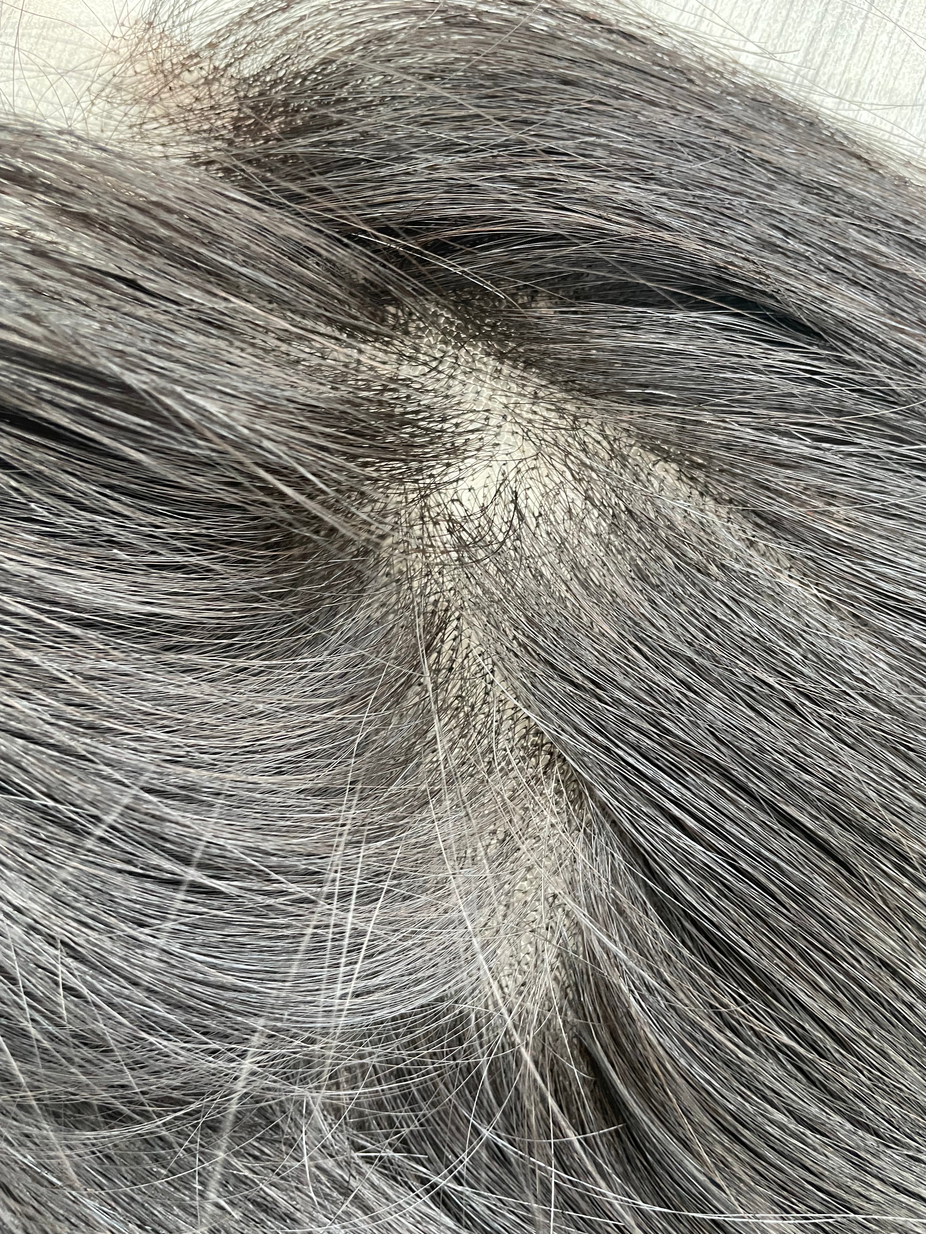 Signature closure 6x6 HD Morgan Ariaa